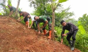 Dalam Rangka Memperingati Hari Ulang Tahun BNN RI Ke-20 BNNK Ciamis, Lapas Banjar, Beserta Forkopimda Melaksanakan Penanaman Pohon